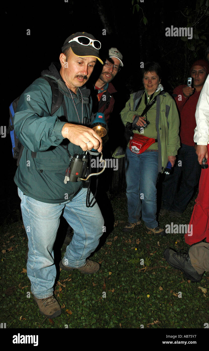 Reiseführer für touristische Gruppe, Monteverde, Costa Rica, Mittelamerika Schlange zu finden Stockfoto