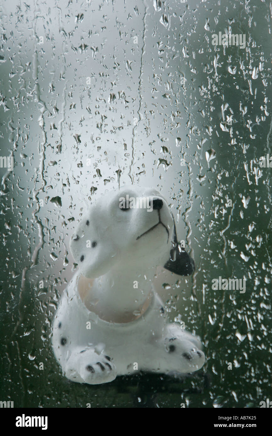 nickend Hund suchen durch Regen durchnässt Fenster Stockfoto