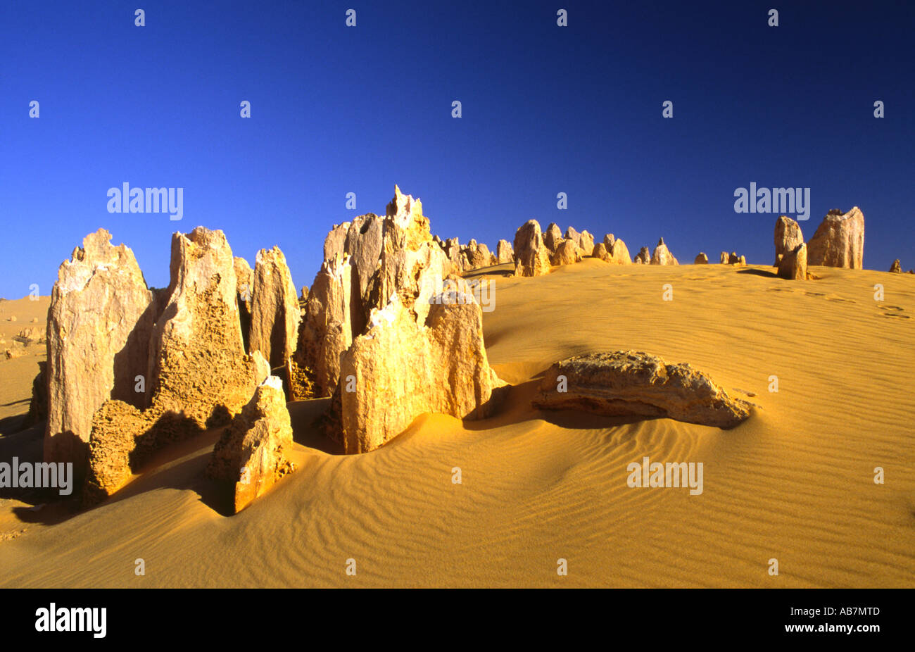 Die Pinnacles Desert Nambung Nationalpark W Western Australia Stockfoto