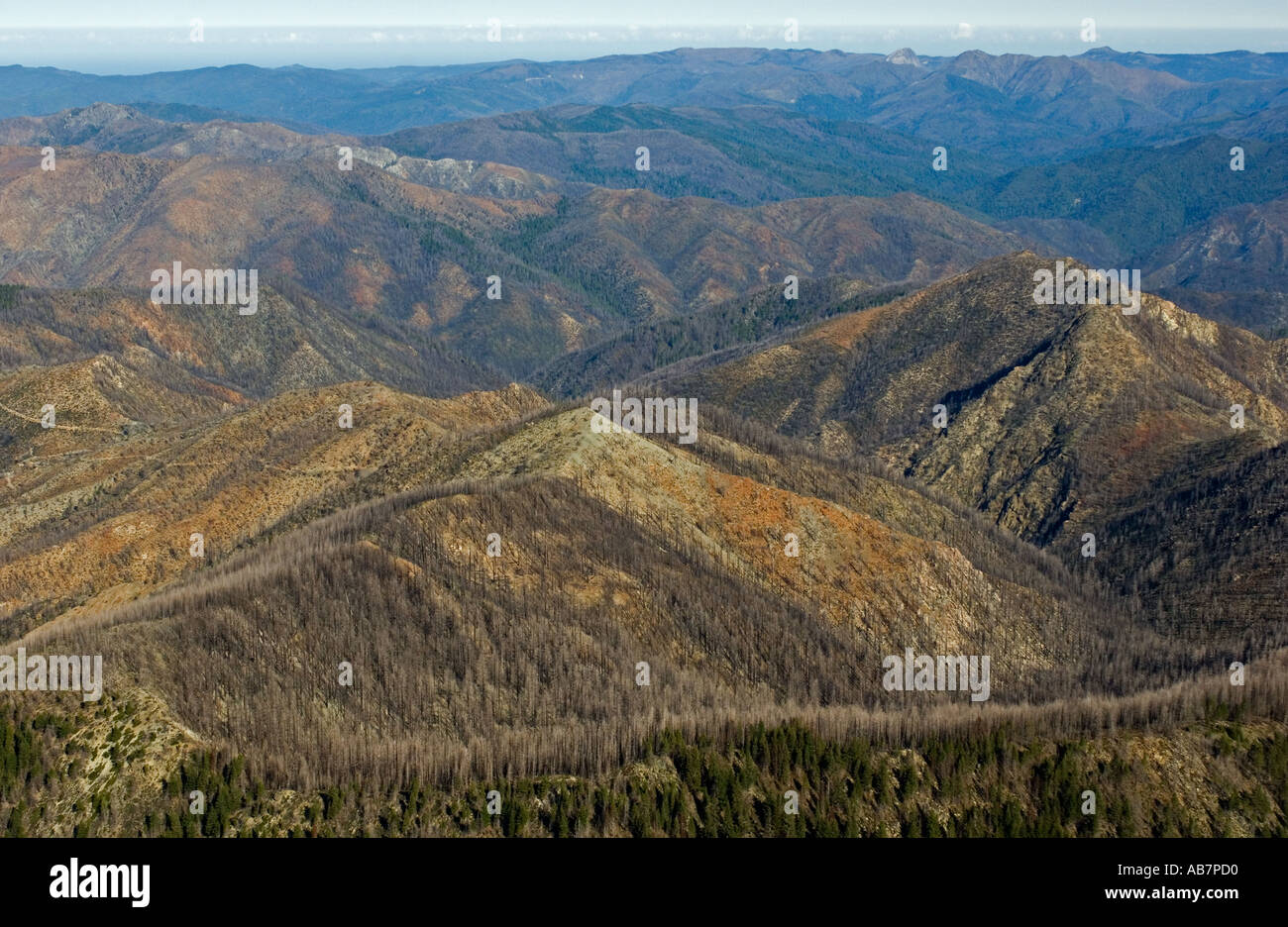 USA OREGON Antenne, Kalmiopsis Wildnis, Siskiyou Mountains, Serpentin Landschaft Website 2002 Keks Feuer Stockfoto