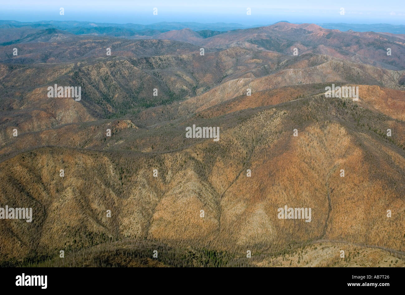AERIAL Kalmiopsis Wildnis, Siskiyou Mountains, OREGON, karge Serpentine Landschaft, Website von 2002 Keks Burn USA Stockfoto