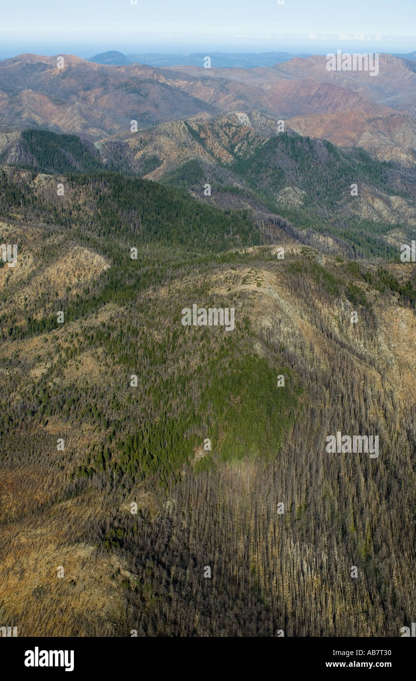 Luftbild Kalmiopsis Wildnis Siskiyou Mountains OREGON strenge Serpentine Landschaft Website 2002 Keks Burn USA Stockfoto