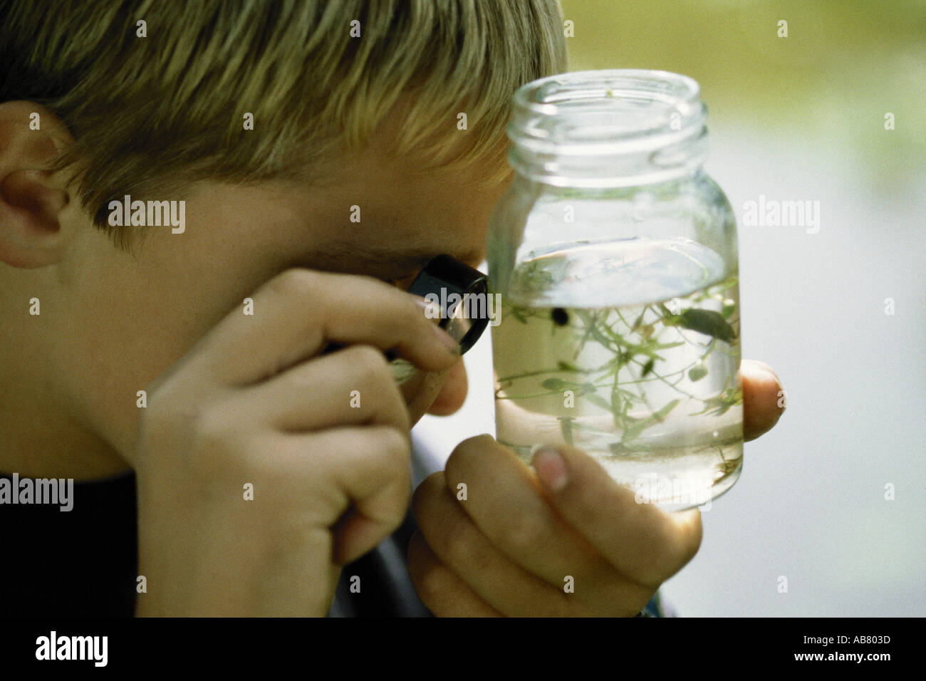 Junge mit Wasserprobe Stockfoto