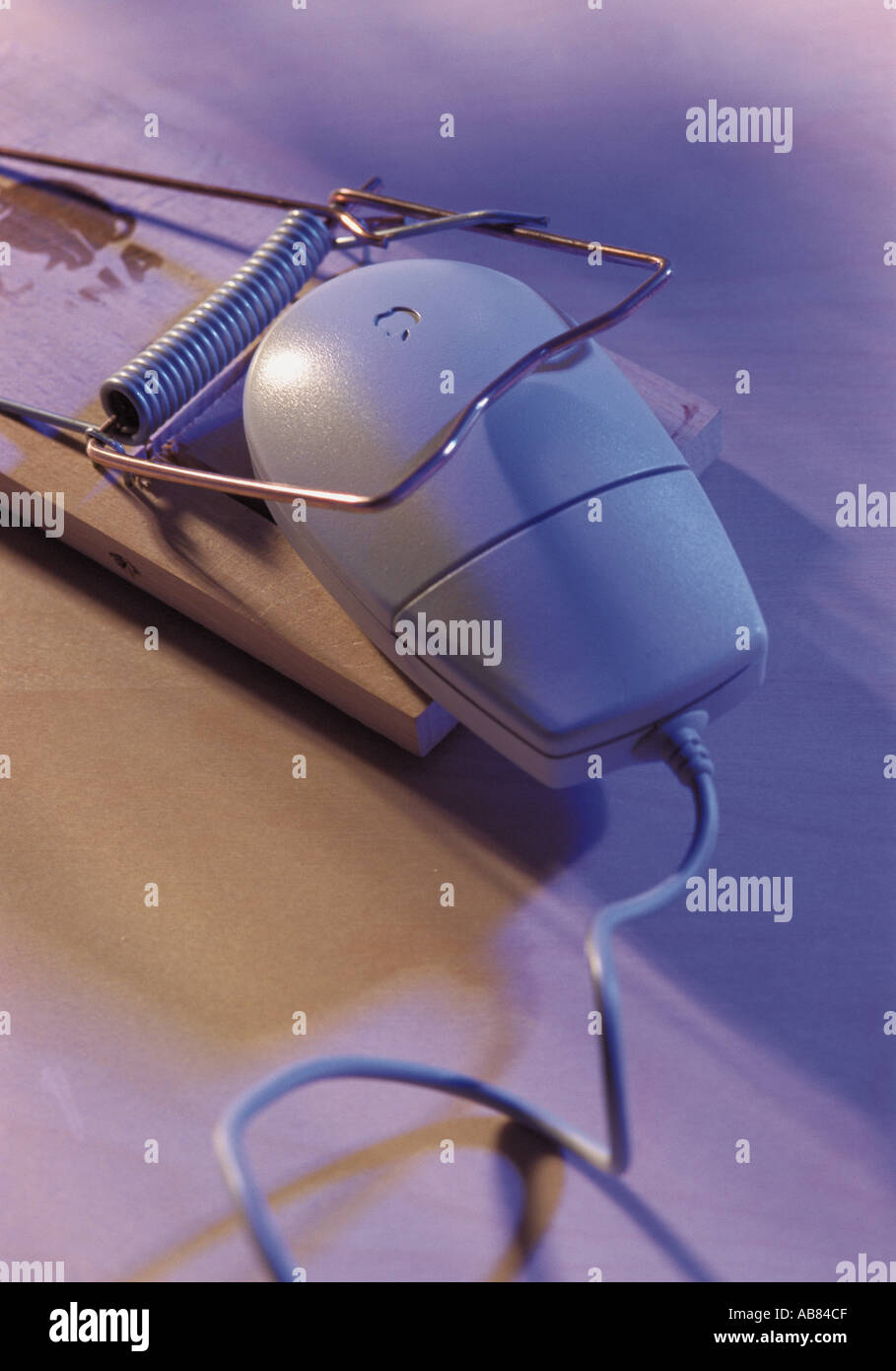 Computer-Maus in der Falle Stockfoto