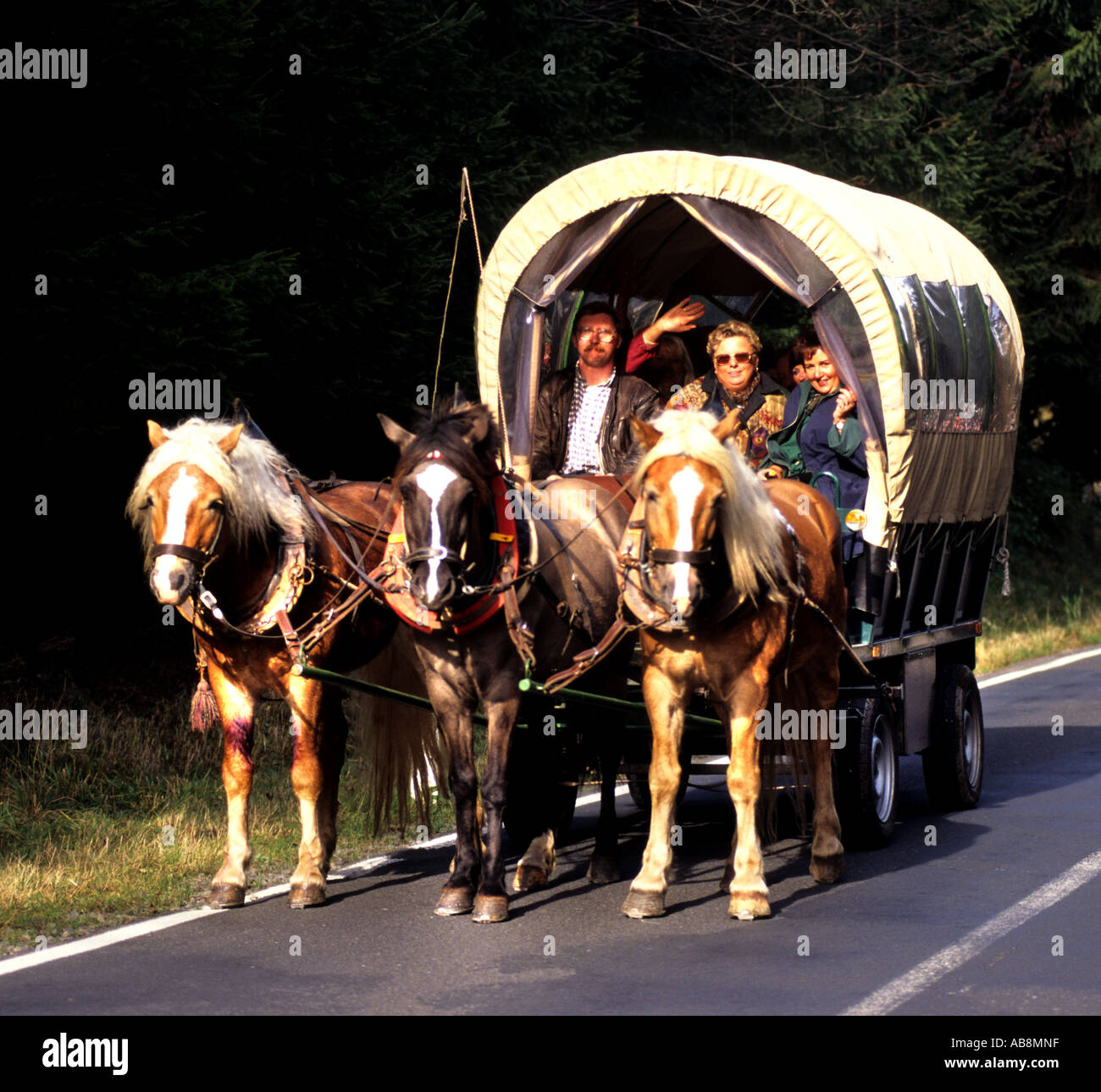 Pferd Warenkorb Deutsch Deutschland Stockfoto