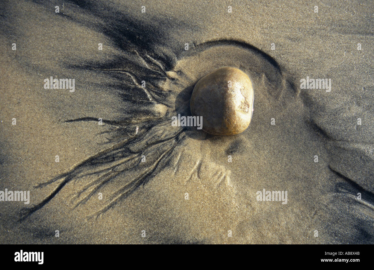 Pazifikküste, Sand Muster, USA, California, San Diego Stockfoto