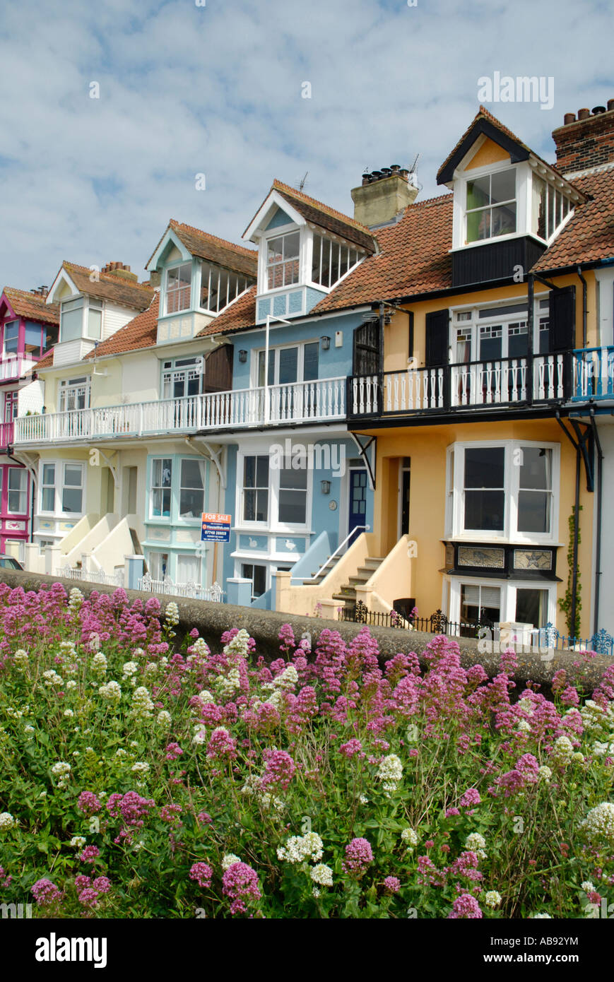 Bunte Meer beherbergt und lila farbigen Wildblumen Whitstable, Kent, England Stockfoto