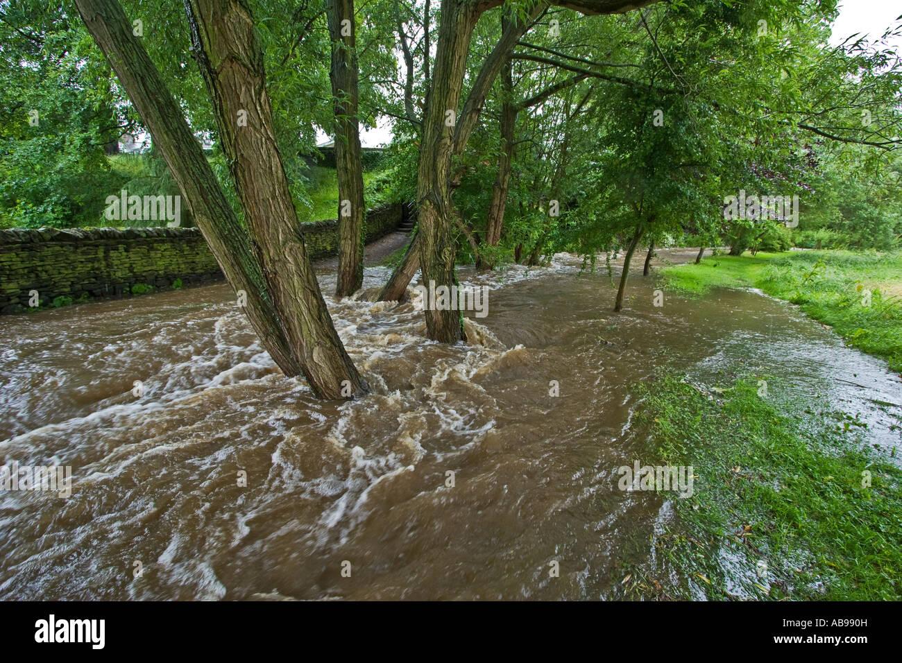 Ein überflutet Yorkshire Beck nach schweren Sommerregen Stockfoto