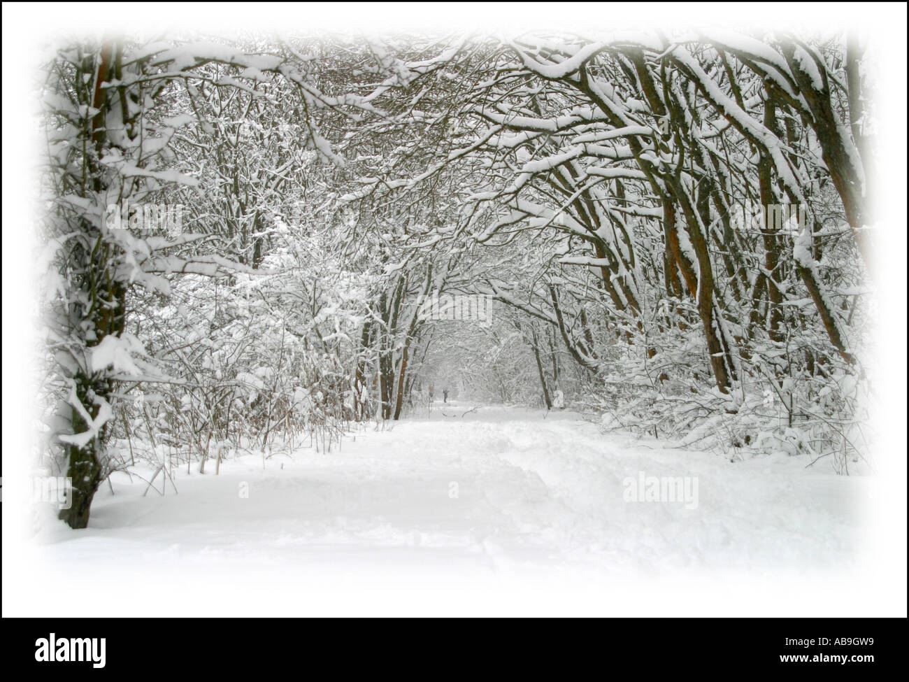Ländliche Fußweg Schneelandschaft Stockfoto