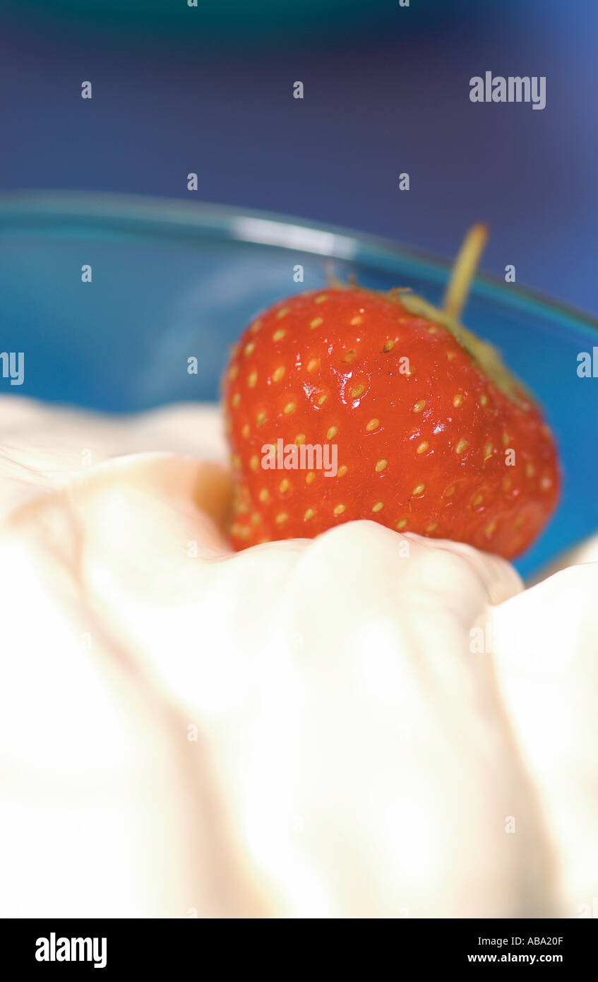 Nahaufnahme der Schüssel mit reinem Naturjoghurt und einer Erdbeere Stockfoto