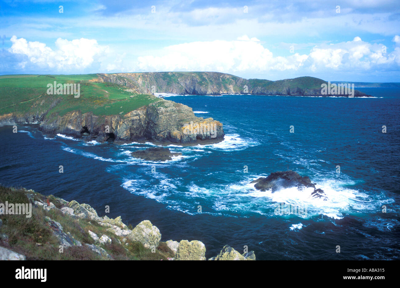 Solva Pembrokeshire Blick über St Brides Bay von der Pembrokeshire Coast Path im Nationalpark Wales Cymru GB UK Stockfoto
