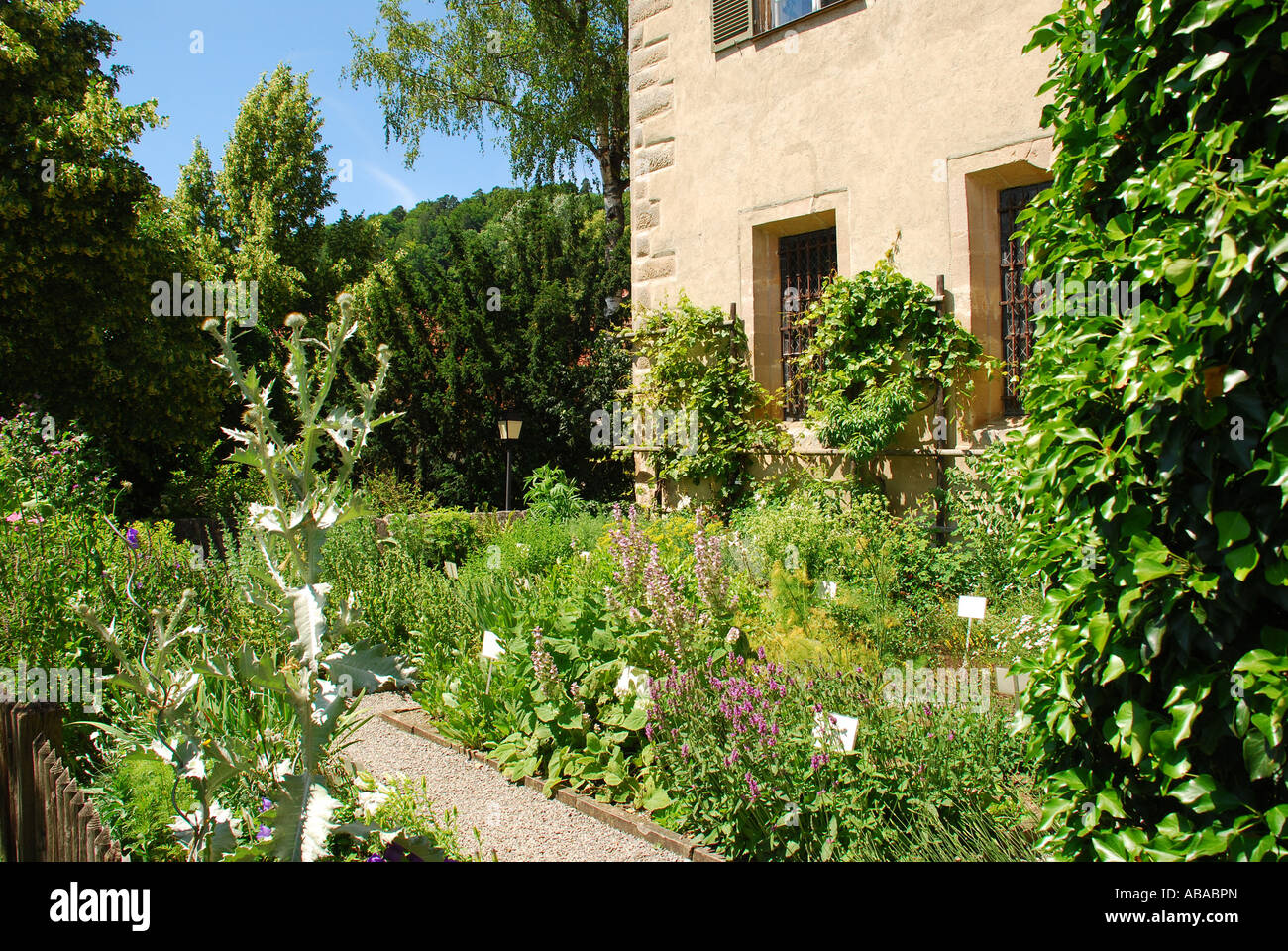 Kloster Garten Zisterzienserkloster Bebenhausen Tübingen Baden