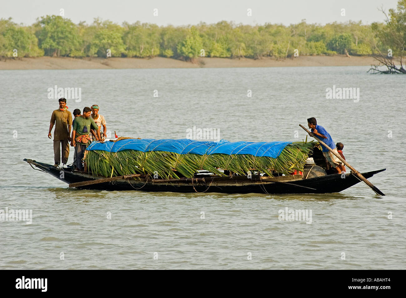 Honig-Jagd-Boot in Sunderbans, Bangladesch. Stockfoto
