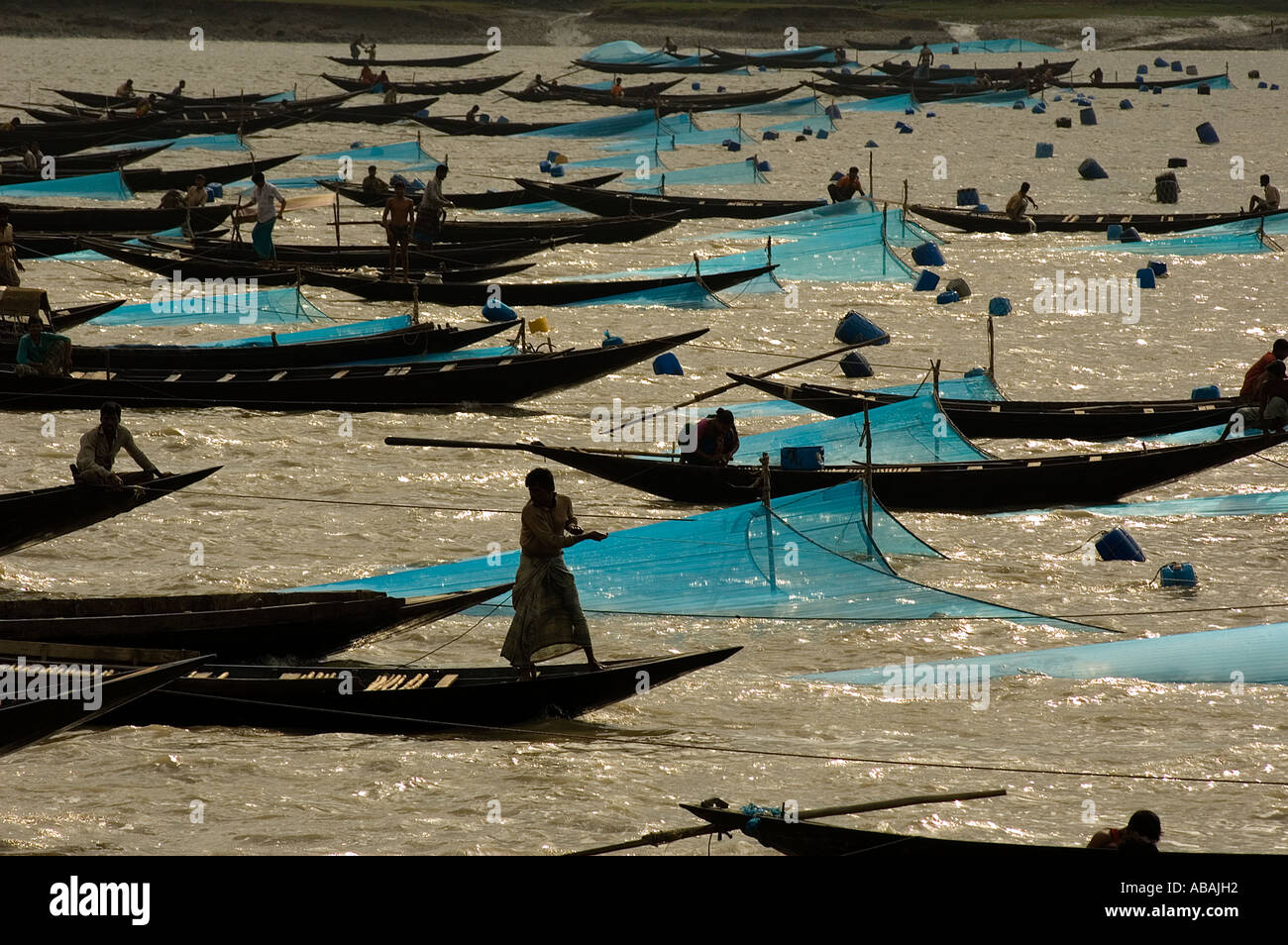 Angelboote/Fischerboote richten Sie ihre Garnelen Larvea (BRJ) Netze in Shibsha Fluss, Bangladesch. Es gibt eine laufende Garnelen Larvea Nachfrage f Stockfoto