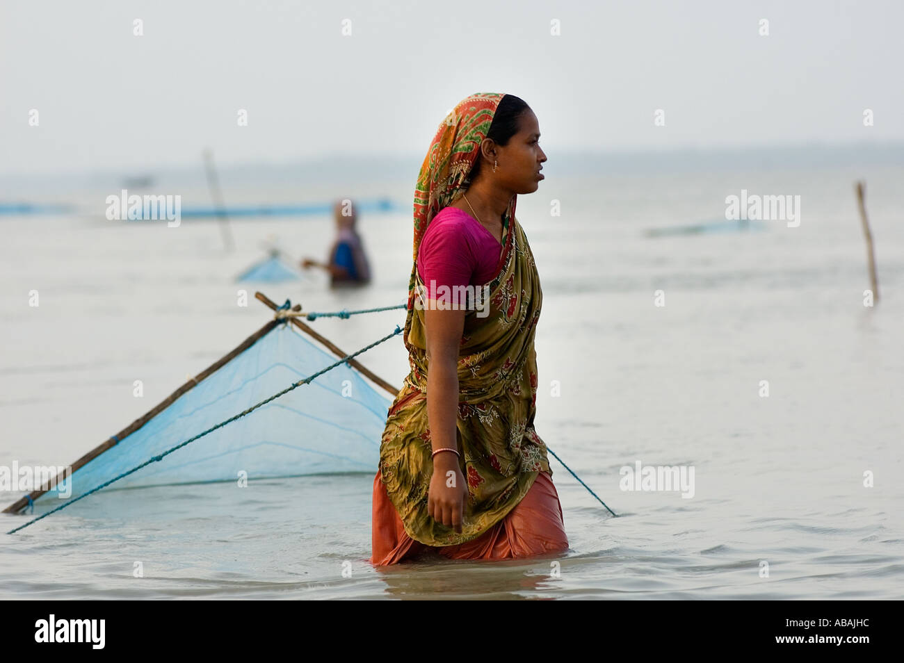 Frau zieht eine Garnele Larvea net in Burigualini, Bangladesch. Stockfoto