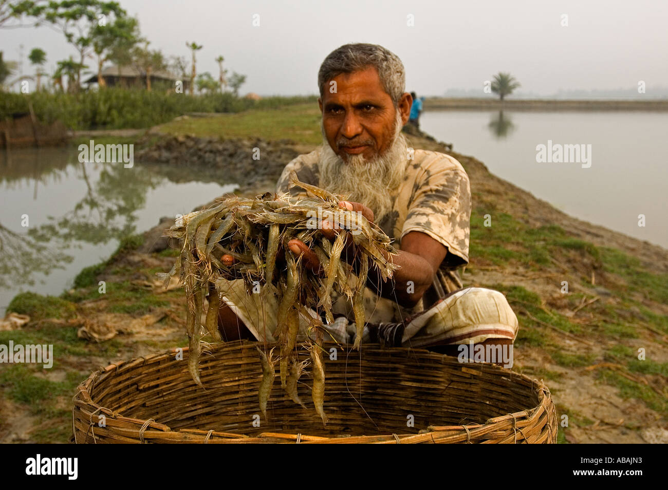 Garnelen-Bauer zeigt seine Ernte, Bangladesch. Stockfoto