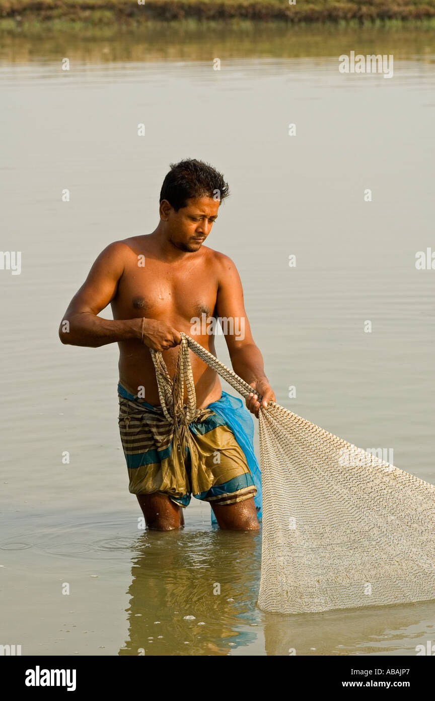 Garnelen-Landwirt Fang Garnelen Garnelen Teich durch Wurf net, Shibsha Fluss Bangladesch. Stockfoto