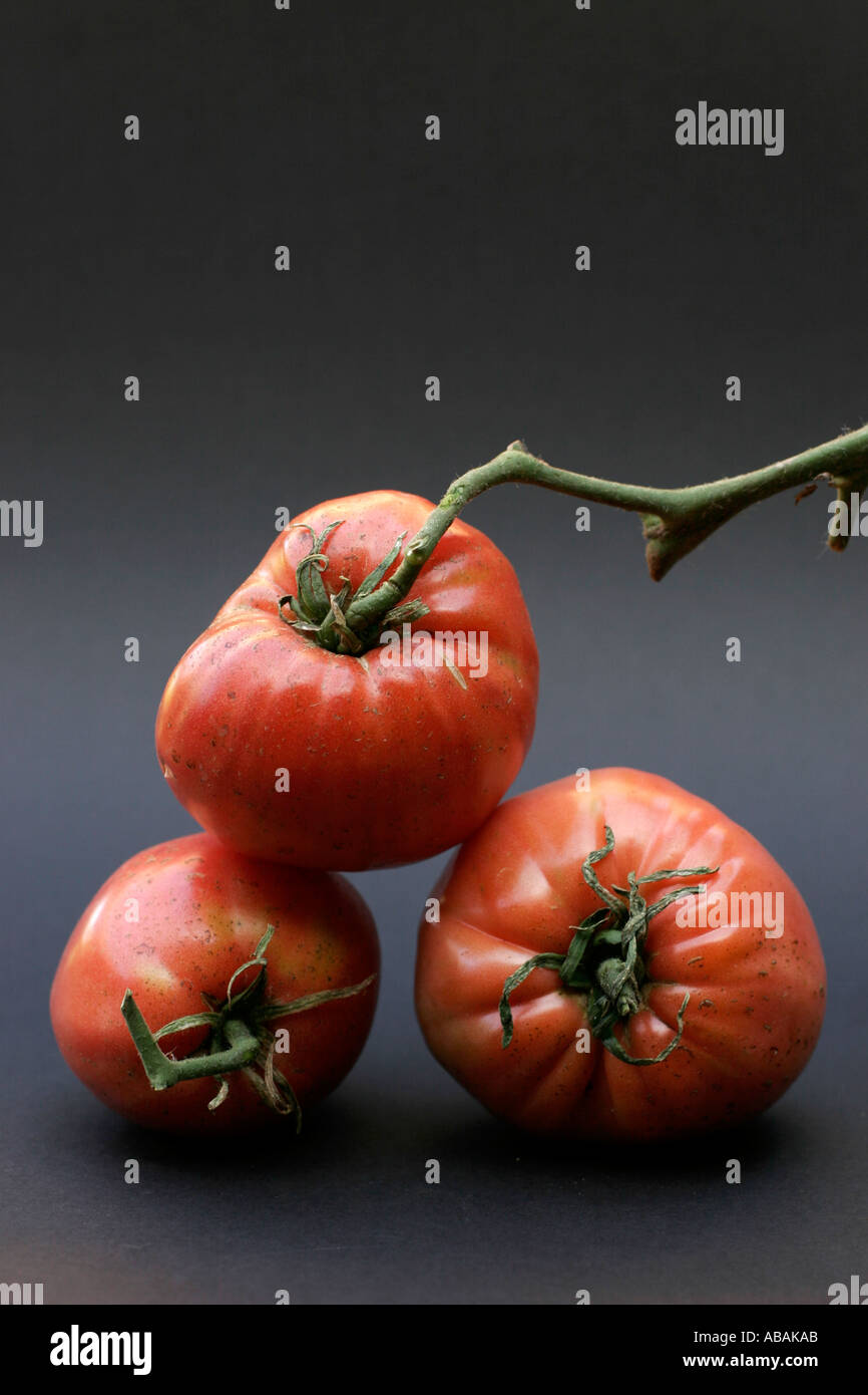 Eine Nahaufnahme von eine schöne große blutrot natürlich angebauten Bio-Tomaten mit Unvollkommenheiten Stockfoto