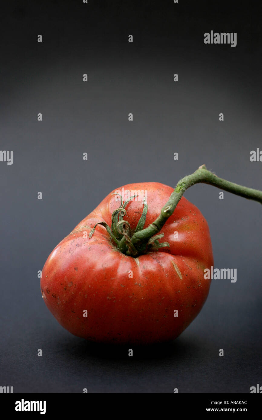 Eine Nahaufnahme von eine schöne große rote Bio Tomate mit Unvollkommenheiten Stockfoto