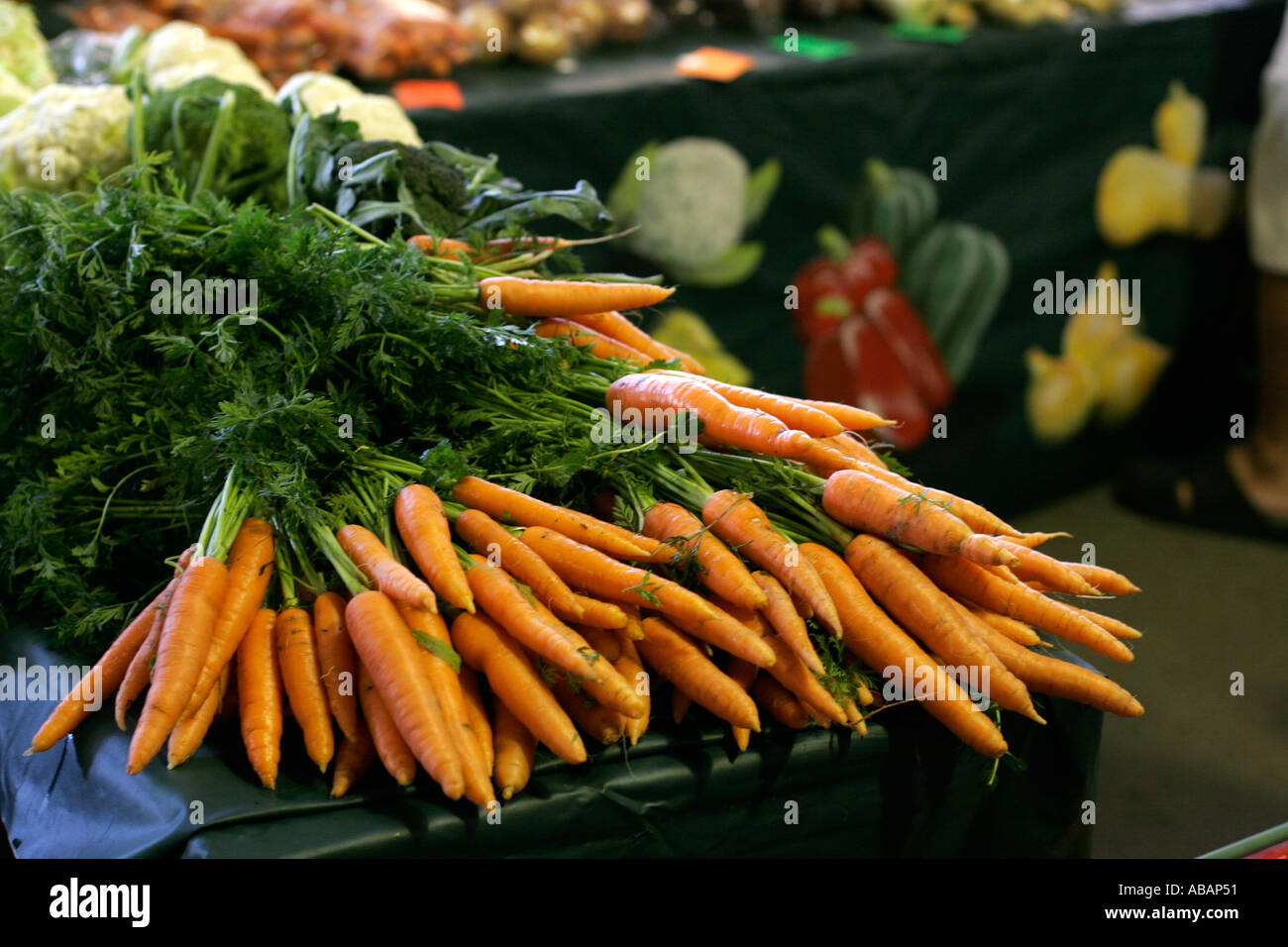 Frische Karotten zum Verkauf im Bauernmarkt Stockfoto