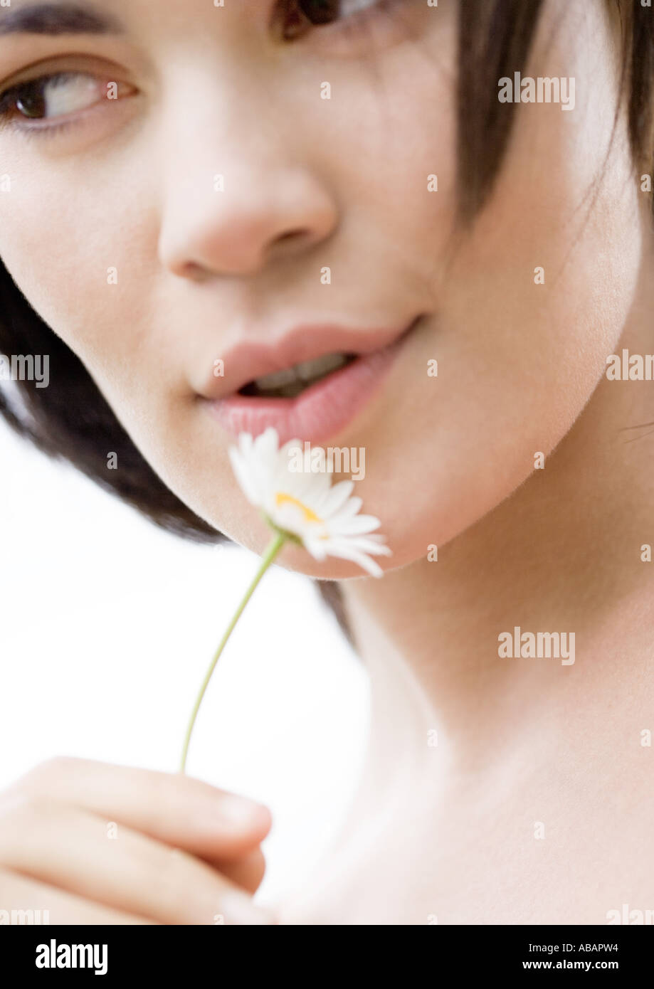 Frau, die Blume neben dem Gesicht, Nahaufnahme Stockfoto