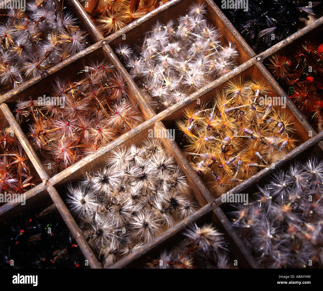 Tablett mit sortierten trocken Forellen fliegen Stockfoto