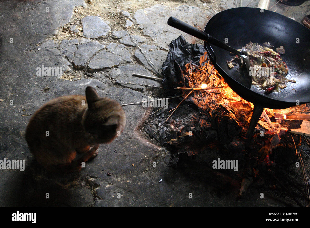 Longsheng, Dazhai Village, Haustierkatze Erwärmung selbst innerhalb einer traditionellen Yao Haus, China Stockfoto