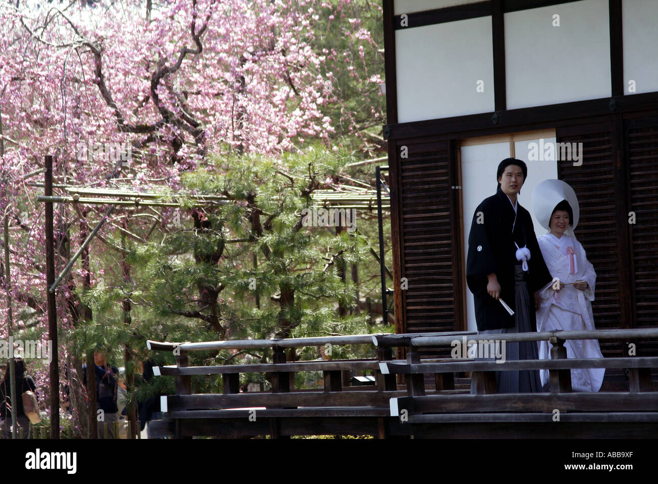 Traditionelle japanische Hochzeitspaar und Kirschblüten in Shin-En Garten Heian-Schrein, Kyoto, Japan Stockfoto