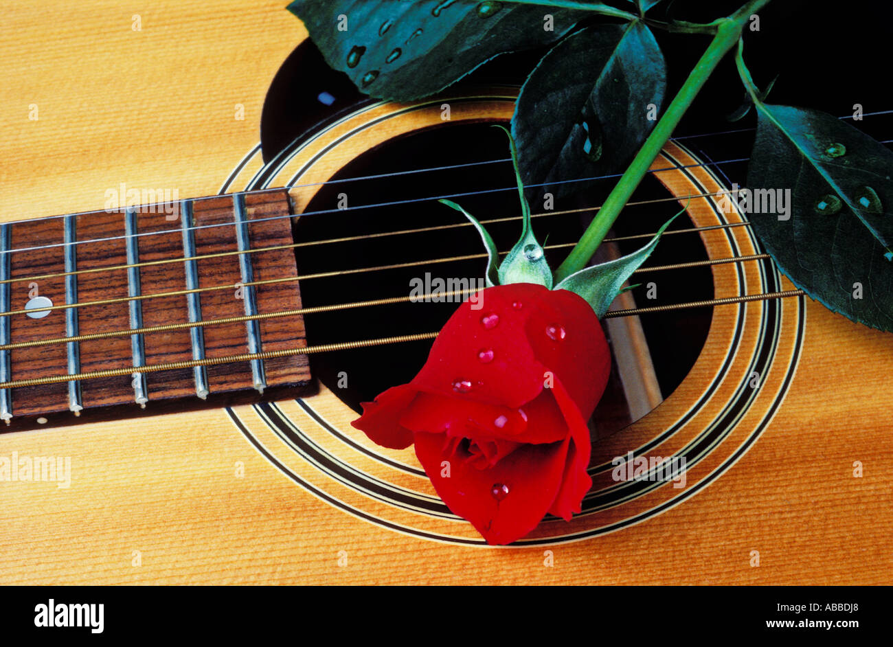Gitarre mit einzelne rote rose Stockfoto