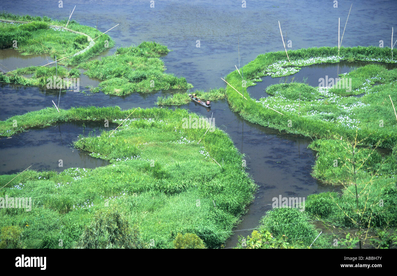 Kreisrunde Fishtraps in den wichtigen Feuchtgebieten des Logtak (Loktak) See in Manipur, Nordost-Indien Stockfoto