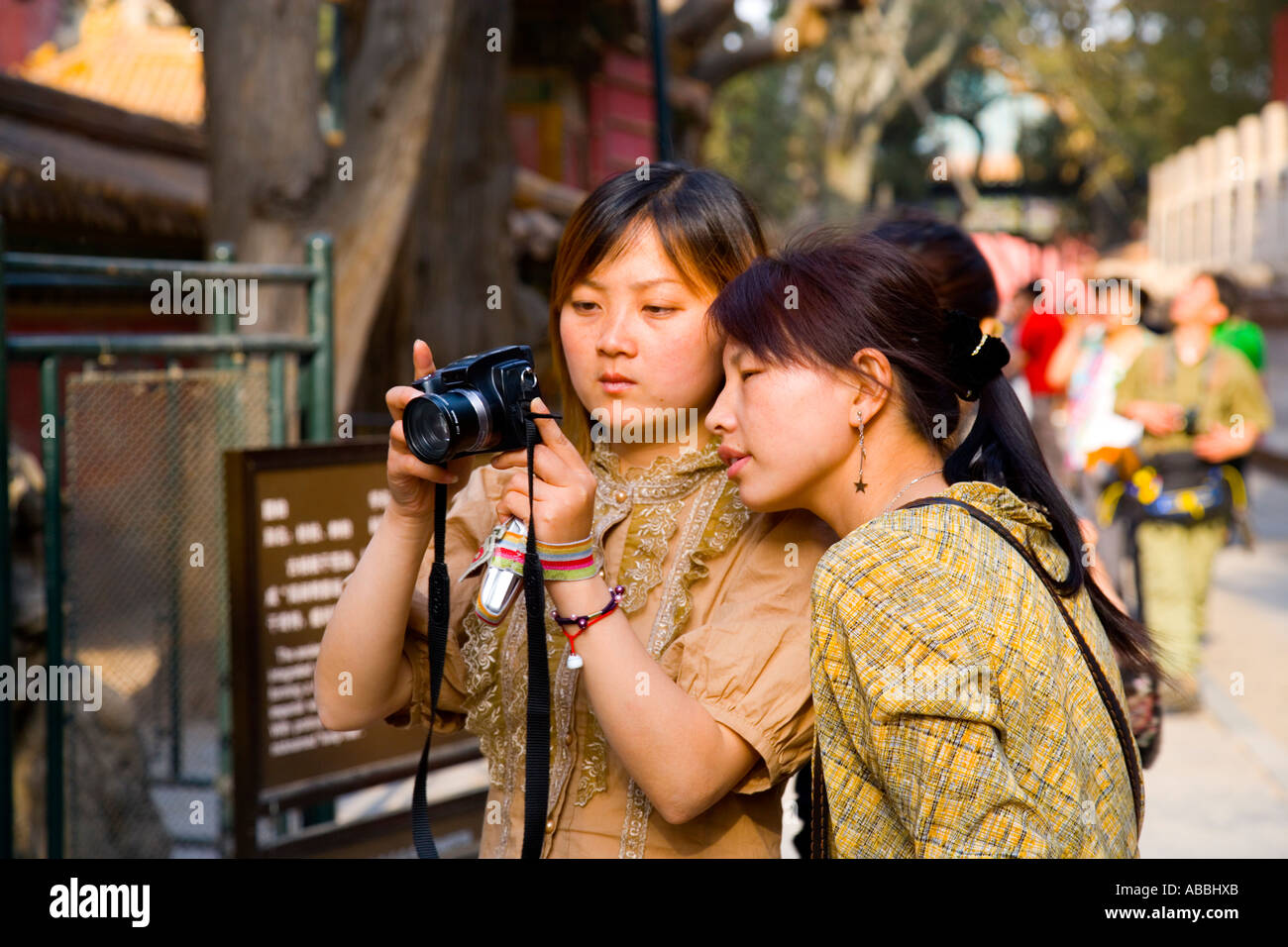 Schöne junge Chinesinnen, die Anzeige von Bildern auf digitalen Kamera in der verbotenen Stadt Peking China JMH1448 Stockfoto