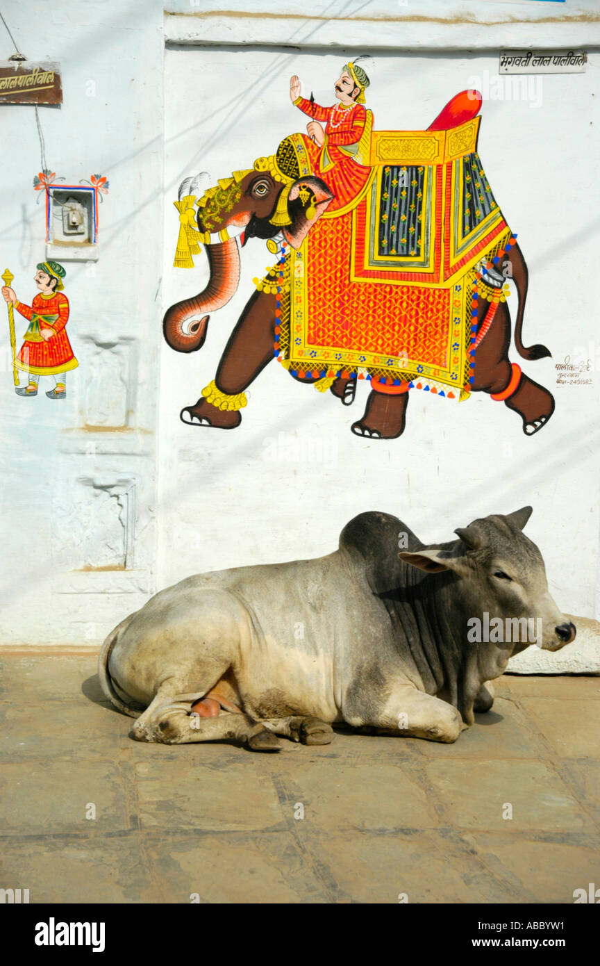 Heilige Kuh liegt vor einem Wandbild von einer laufenden ElephantUdaipur Rajasthan Indien Stockfoto