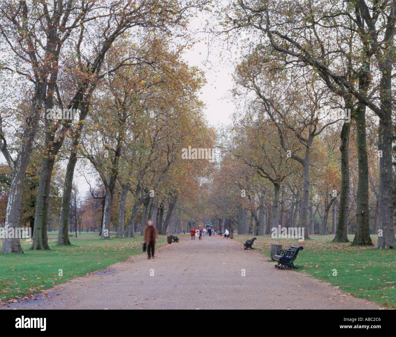 Gehweg in Kensington Gardens London England durch Steven Dusk Stockfoto