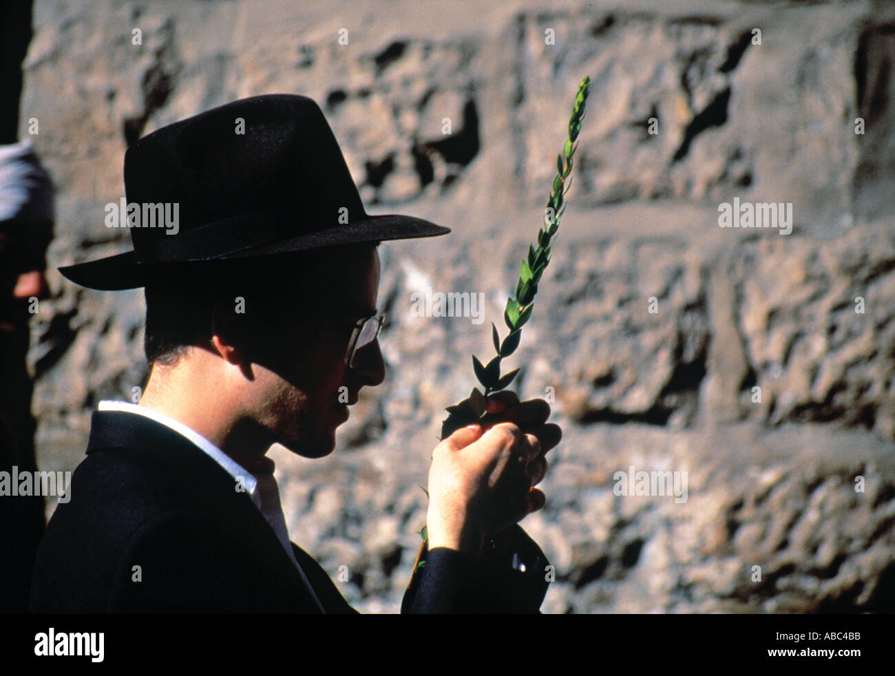 Inspektion der Hadas Laubhüttenfestvideo Urlaub, Israel Stockfoto