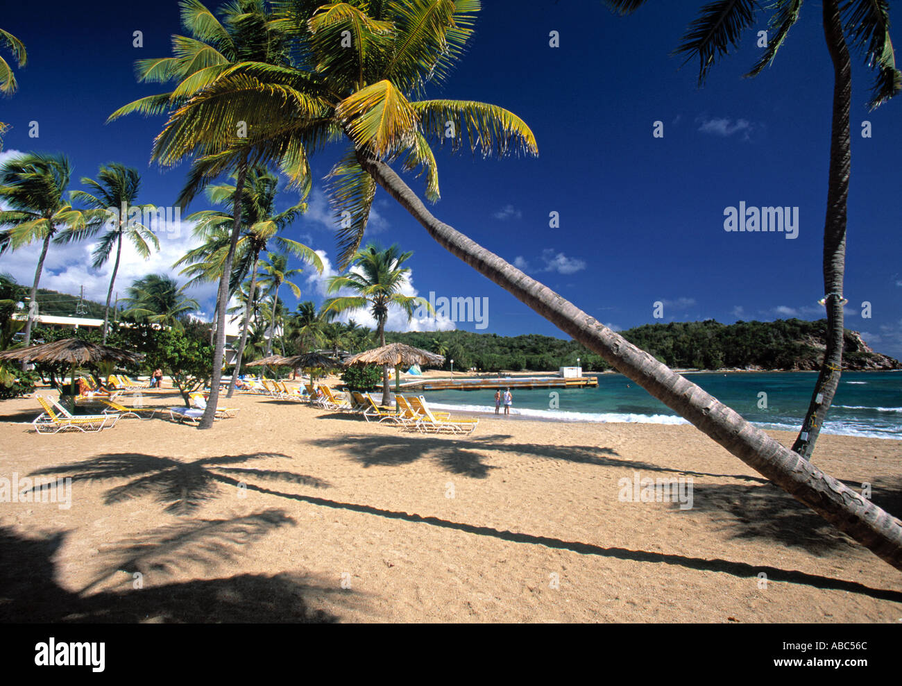 Bolongo Bay, St. Thomas, Amerikanische Jungferninseln, Caribbean Stockfoto