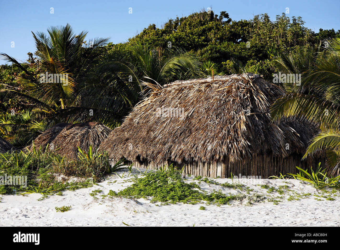 Cabana am Strand von Tulum in yucatan Stockfoto