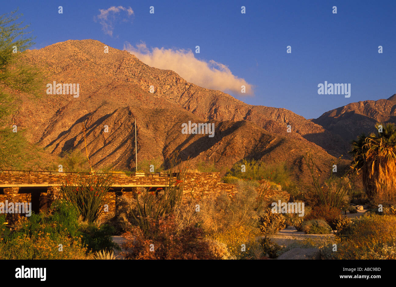 Kalifornien Anza Borrego Desert State Park Vistor Center am frühen Morgen Stockfoto
