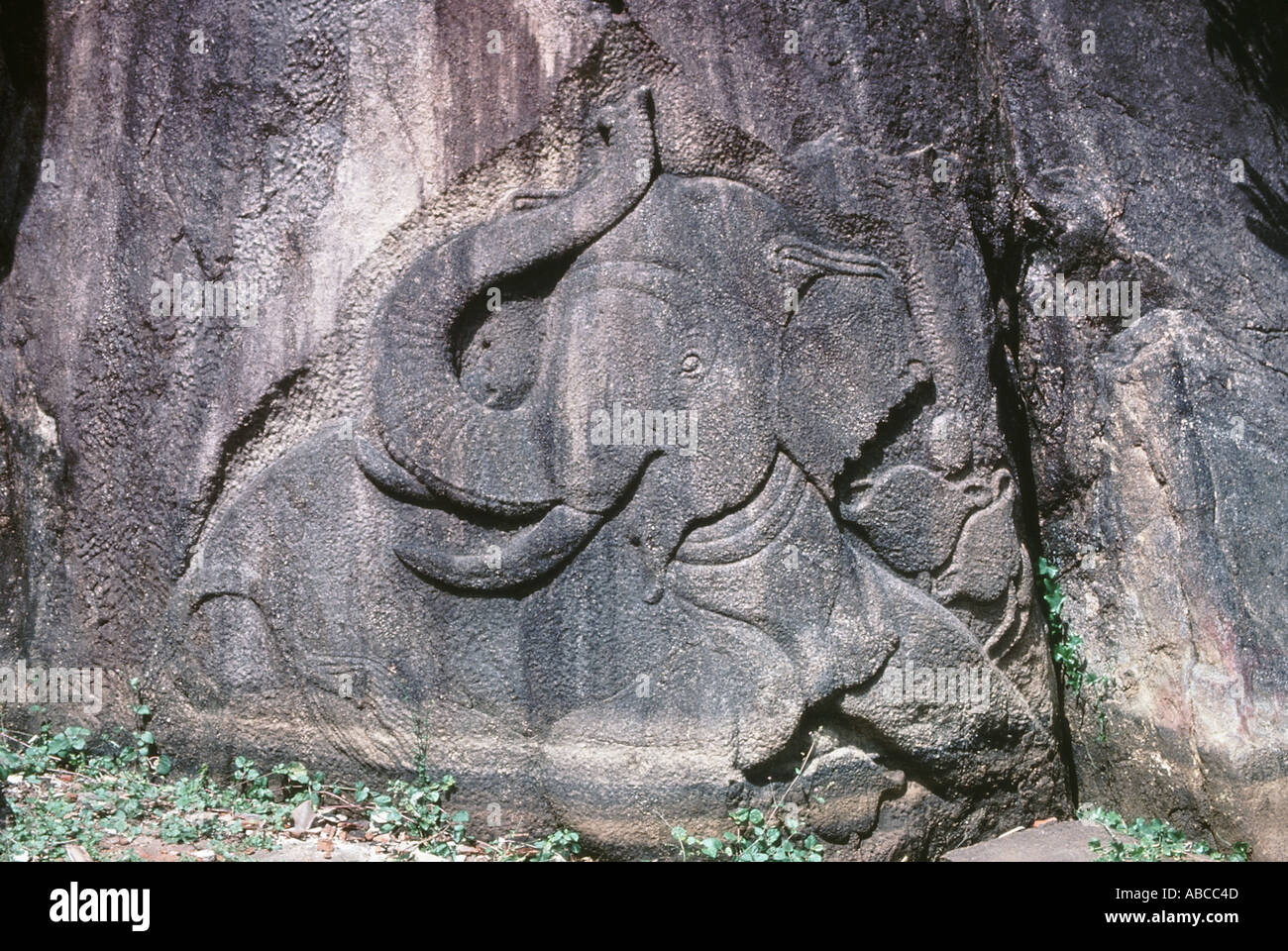 Antike Architektur Elefanten Relief auf Felsen Isurumuniya Anuradhapura Sri Lanka Stockfoto