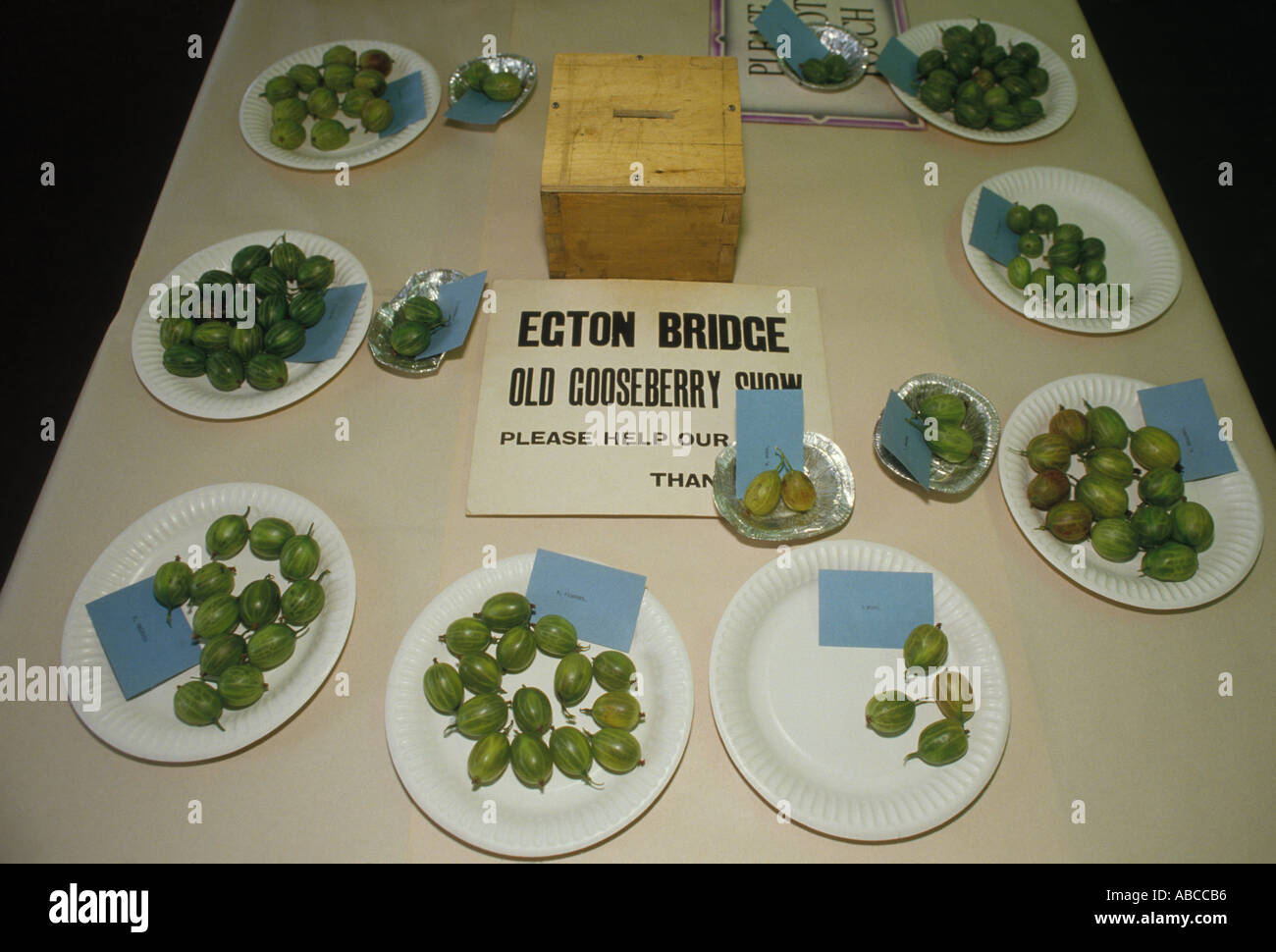 Egton Bridge Gooseberry Show Yorkshire England. Der Wettkampftisch. Gewinnen Stachelbeeren 1990er HOMER SYKES Stockfoto