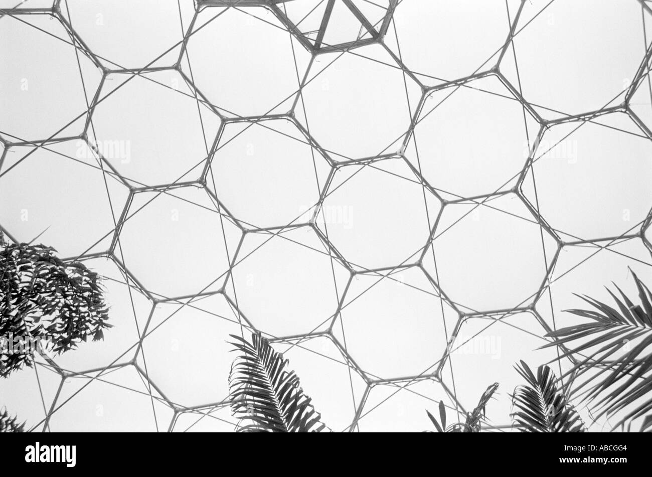 Abstrakte Ansicht des Daches bei The Eden Project St Austell Cornwall UK Stockfoto Abstrakte Ansicht des Daches bei The Eden Project St Austell Cornwall UK Stockfoto