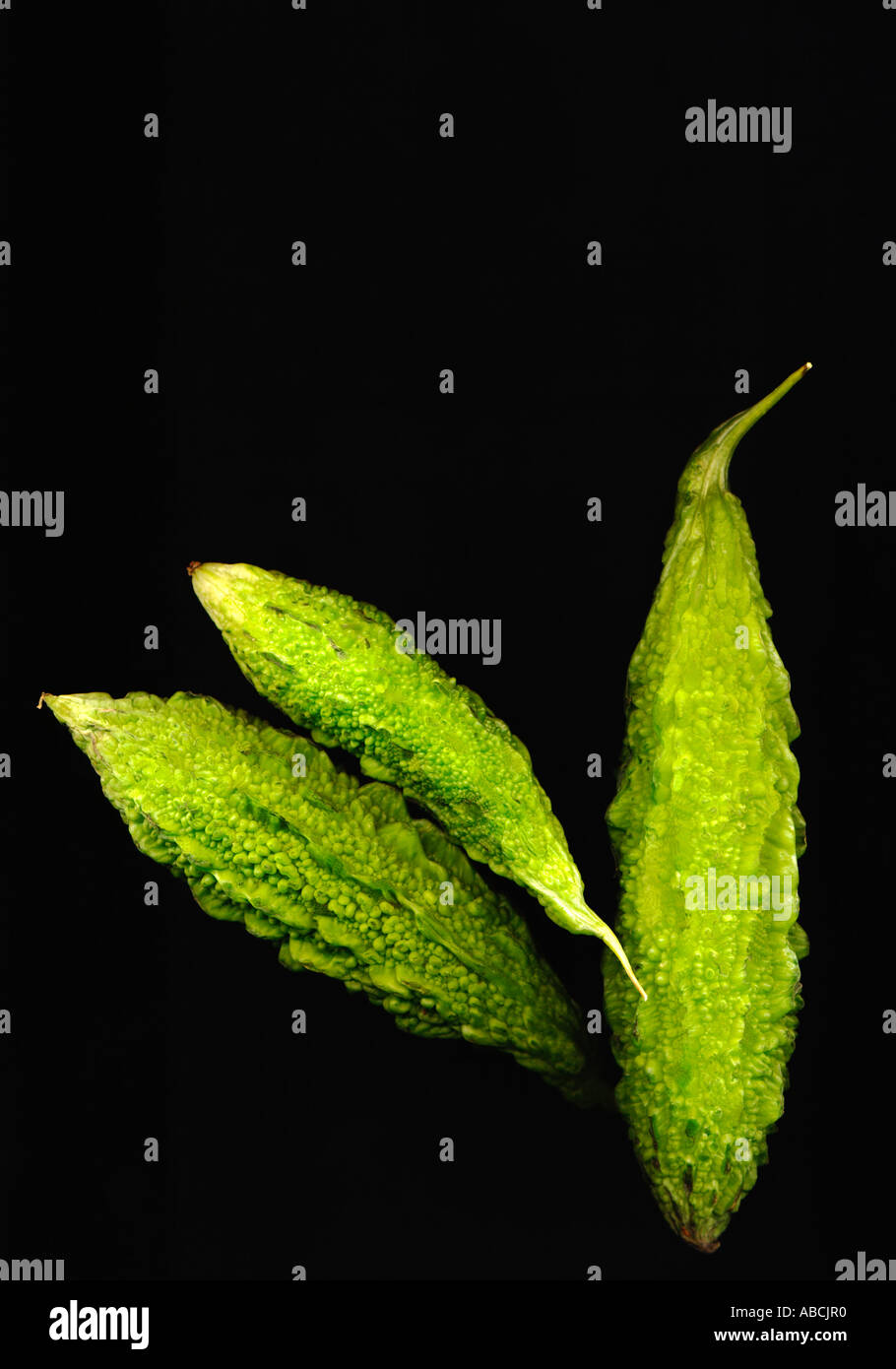Karela - bittere Kürbisse Stockfoto