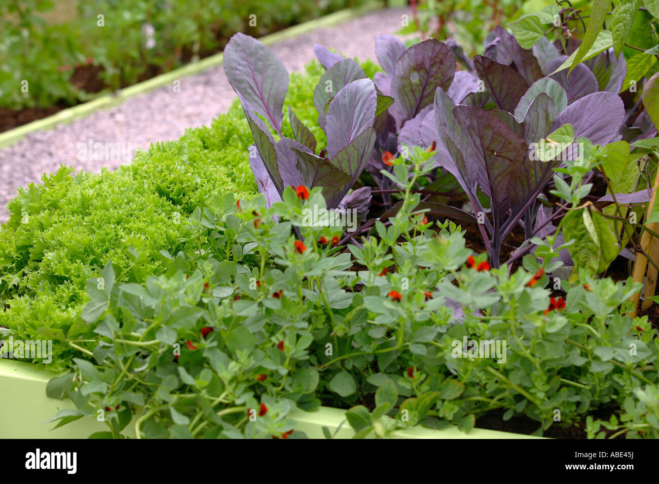 CENTREPOINT GARTEN. DESIGNER: CLAIRE WHITEHOUSE. Stockfoto