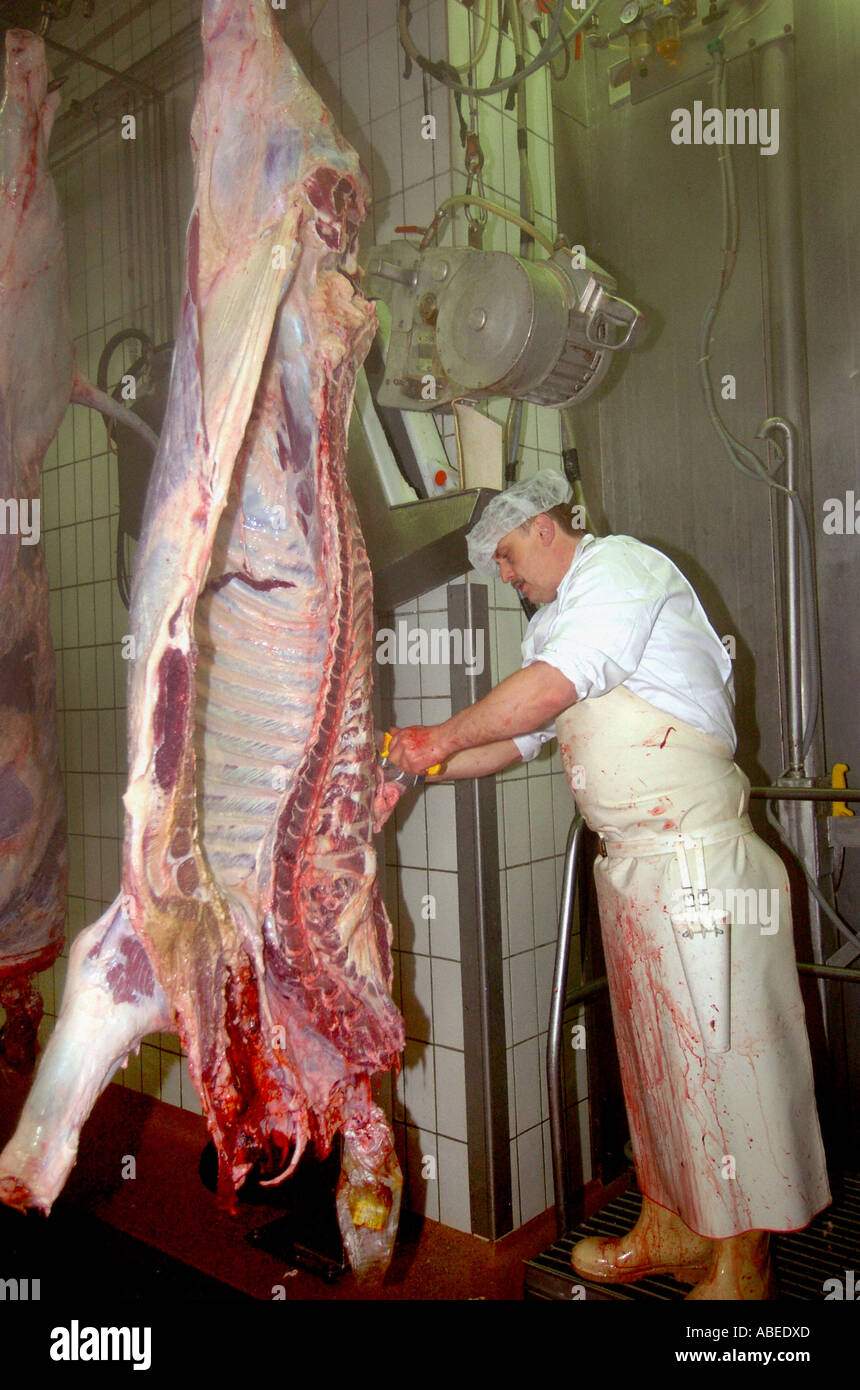 Im Schlachthof - Beseitigung von Fett Reste und der Wirbelsäule Stockfoto