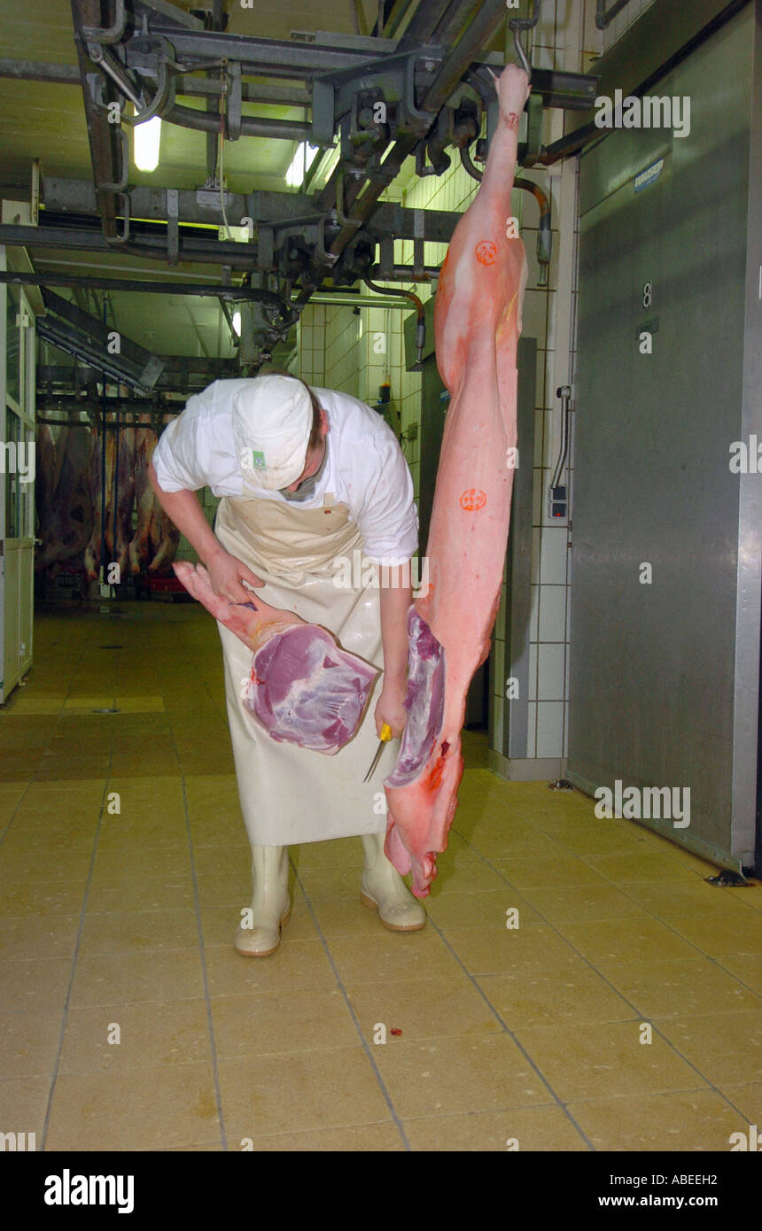 Schwein, die Verarbeitung im Schlachthof Stockfoto