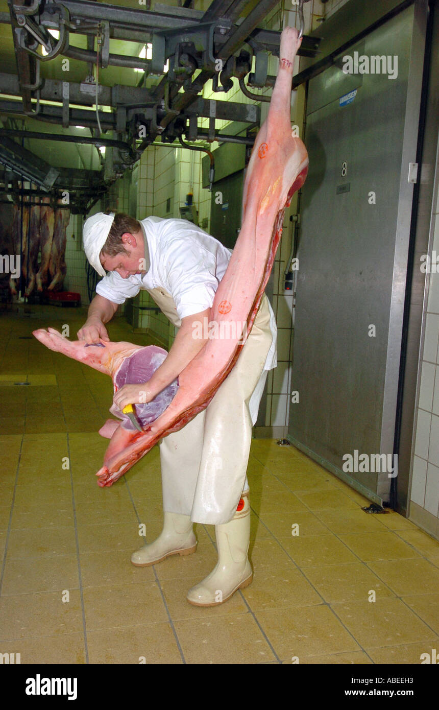 Schwein, die Verarbeitung im Schlachthof Stockfoto