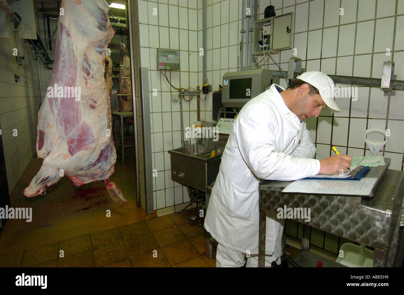 Kennzeichnung von Rindfleisch Stockfoto
