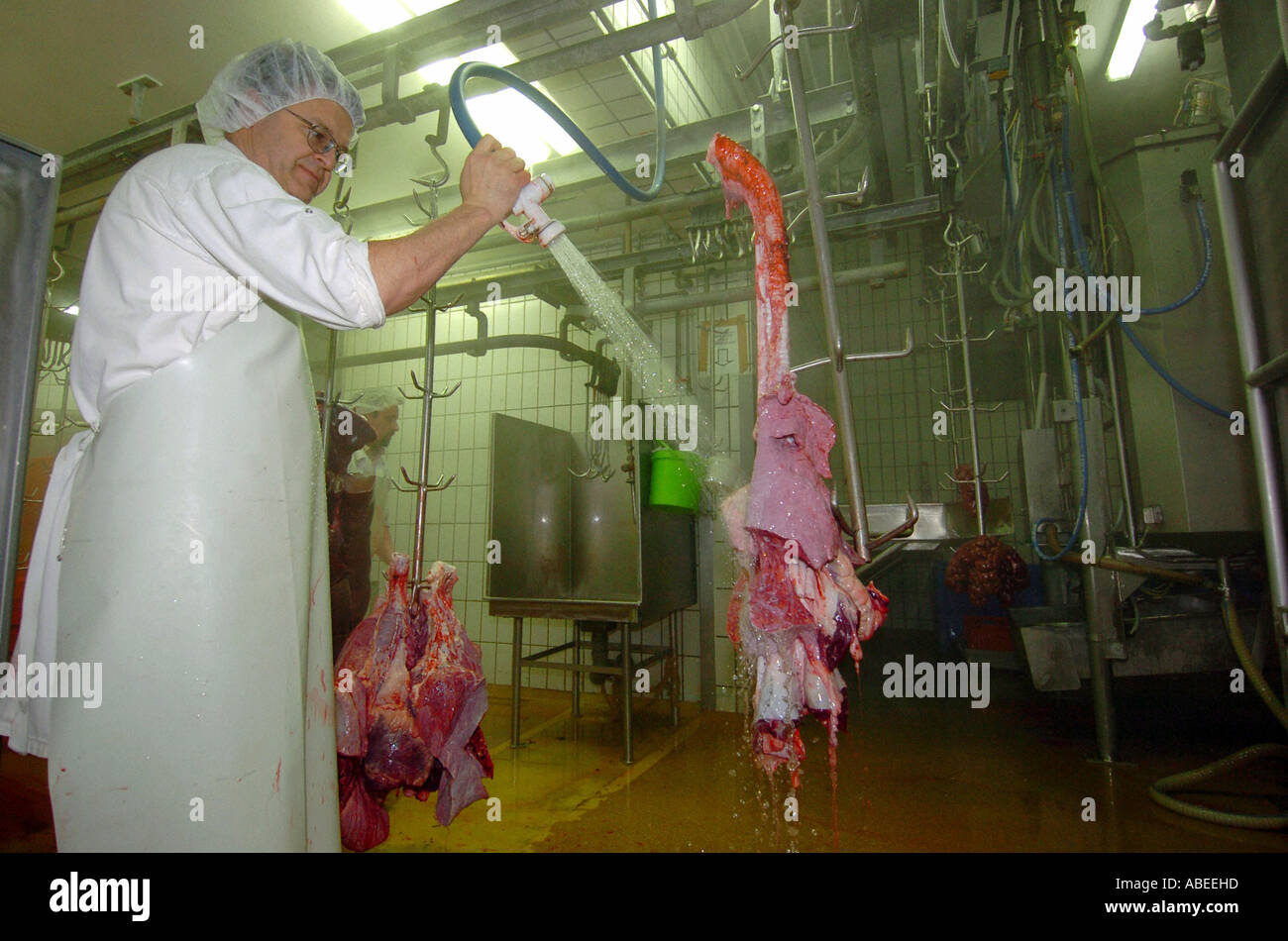 Im Schlachthof Stockfoto