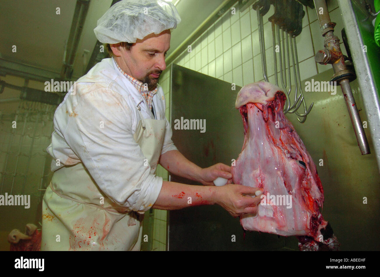 Im Schlachthof Stockfoto