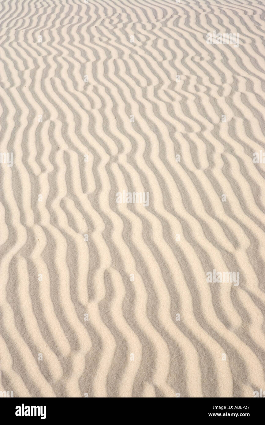 Monahans Sandhills State Park in West-Texas Stockfoto