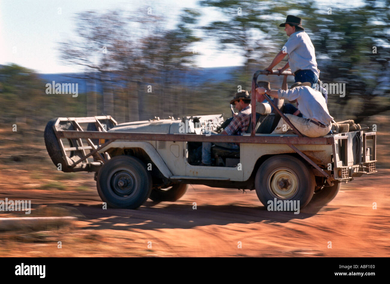 10 96 West Australien Australien The Kimberley A Bull Catcher A individuell vier Fahrzeug entwickelt, um Vieh Throu jagen Stockfoto